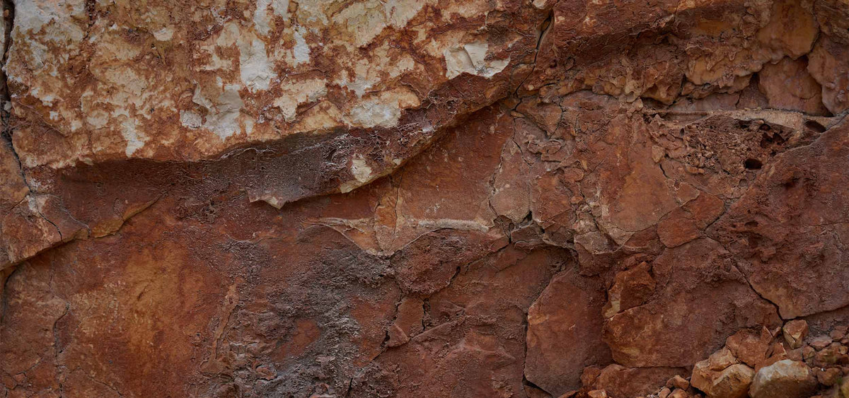 slider image 1621243260e1af0c20-0